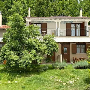https://kedros.hotelschalkidiki.net
